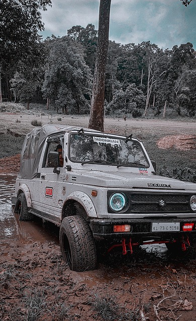 德天空：皇马输球后阿隆索不会遭解雇，将继续指挥周末联赛